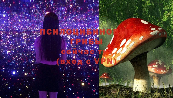 бутик Ельня