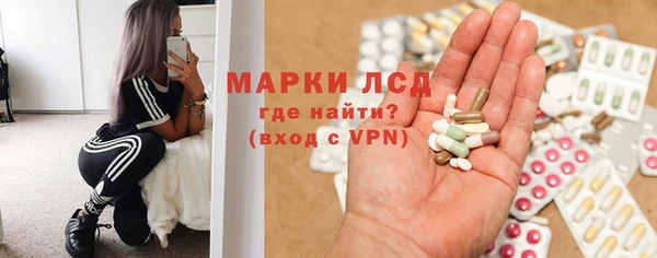 мяу мяу мука Елабуга