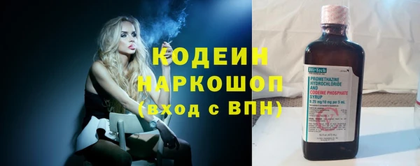 мяу мяу мука Елабуга
