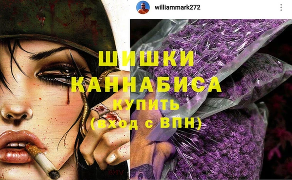 альфа пвп Елизово