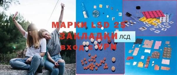 мяу мяу мука Елабуга